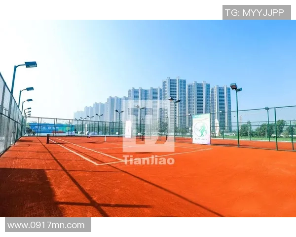 南京网球队的运营策略深度分析与发展前景展望 南京网球队的运营策略深度分析与发展前景展望