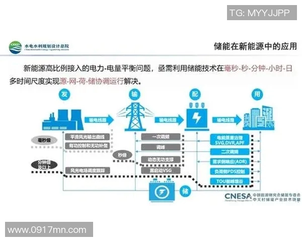 深圳排球队运营分析:成功经验与面临挑战的深度探讨