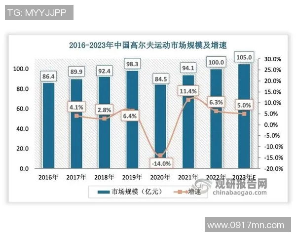 深圳羽毛球队技术对比深度分析揭示训练优势与发展潜力 深圳羽毛球队技术对比深度分析揭示训练优势与发展潜力