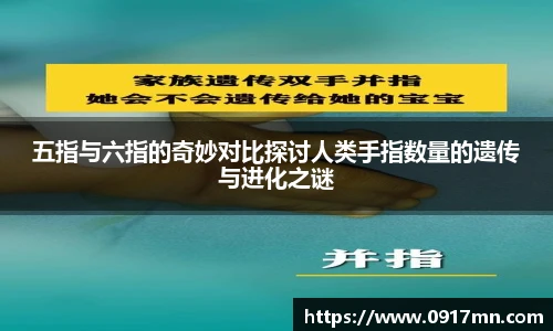 芒果体育平台